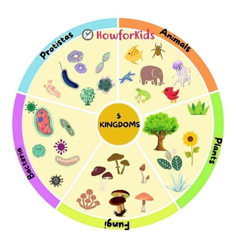 5 types of organisms.